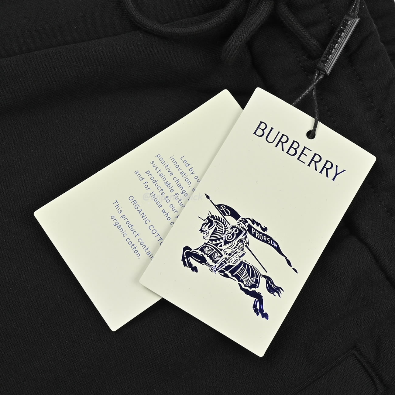 Burberry 24ss Rope Embroidered Knight Warrior Horse Small Label Colored Shorts (7) - newkick.vip